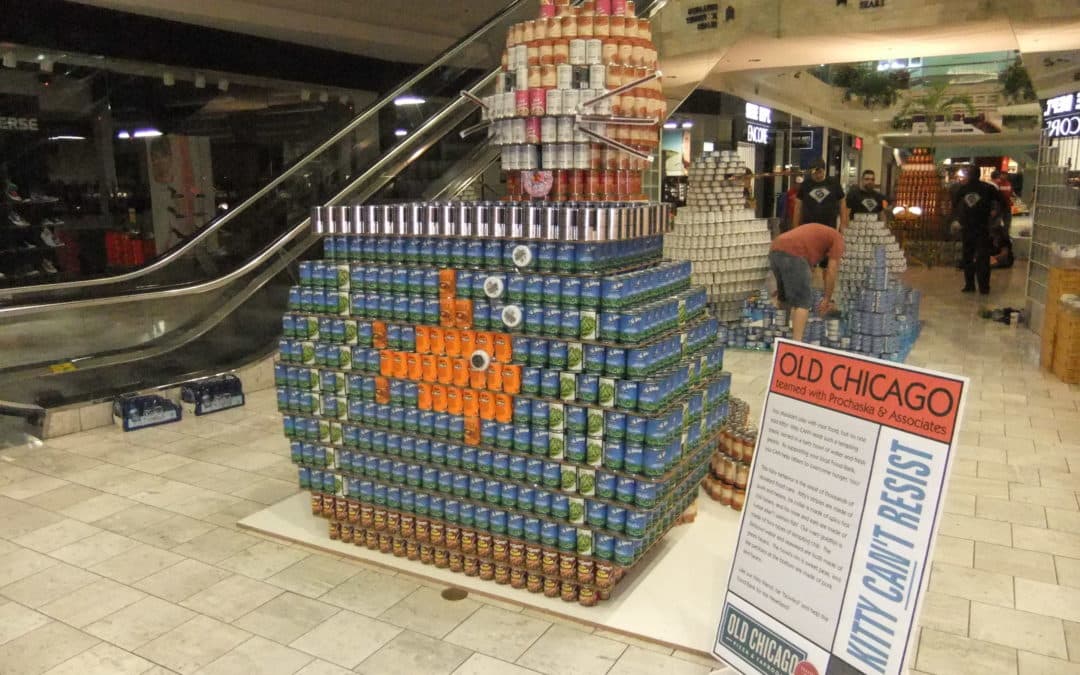 “Canstruction”